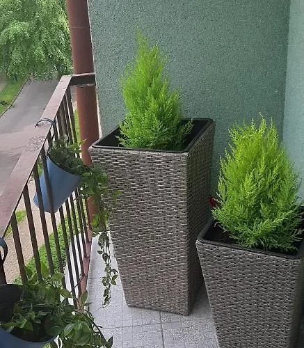 Blue Sky Duszniki Zdrój