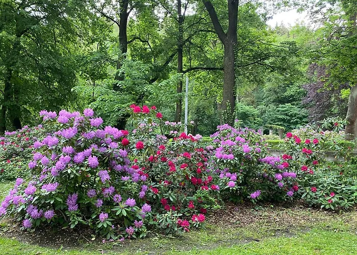 Blue Sky Apartmán *